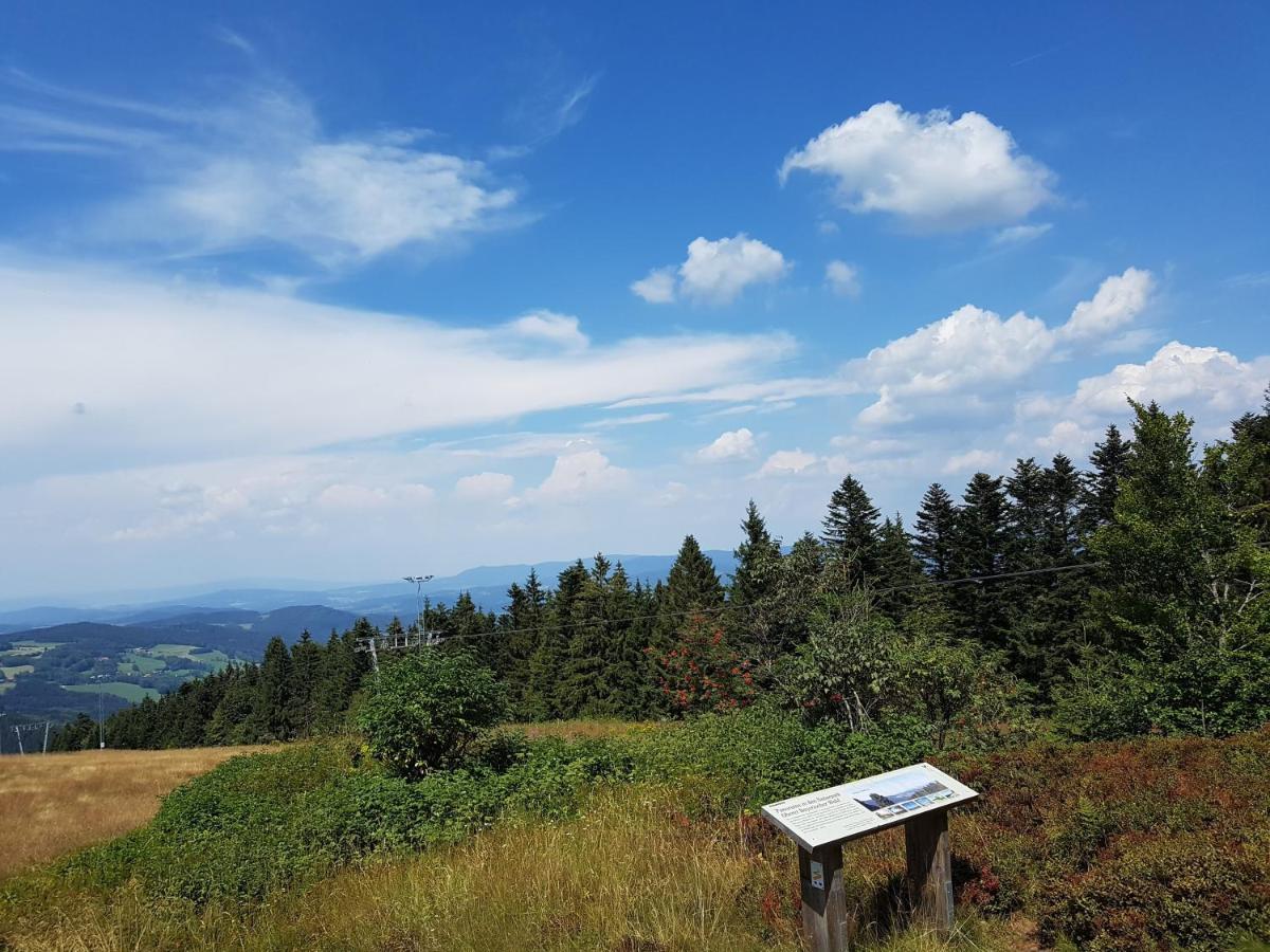 Traumurlaub Im Bayerische Wald Sankt Englmar Ngoại thất bức ảnh